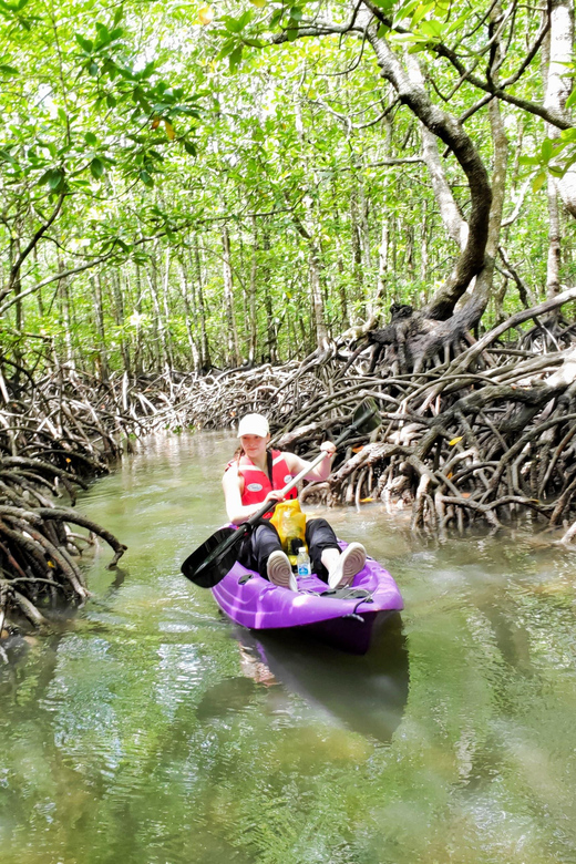 Langkawi : Mangrove Kayak Tour With Lunch (Morning)