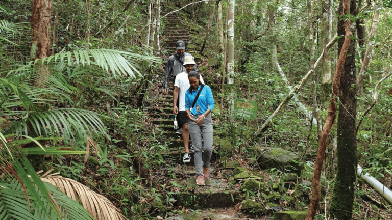 Langkawi SkyTrail Hiking and Cable Car Experience