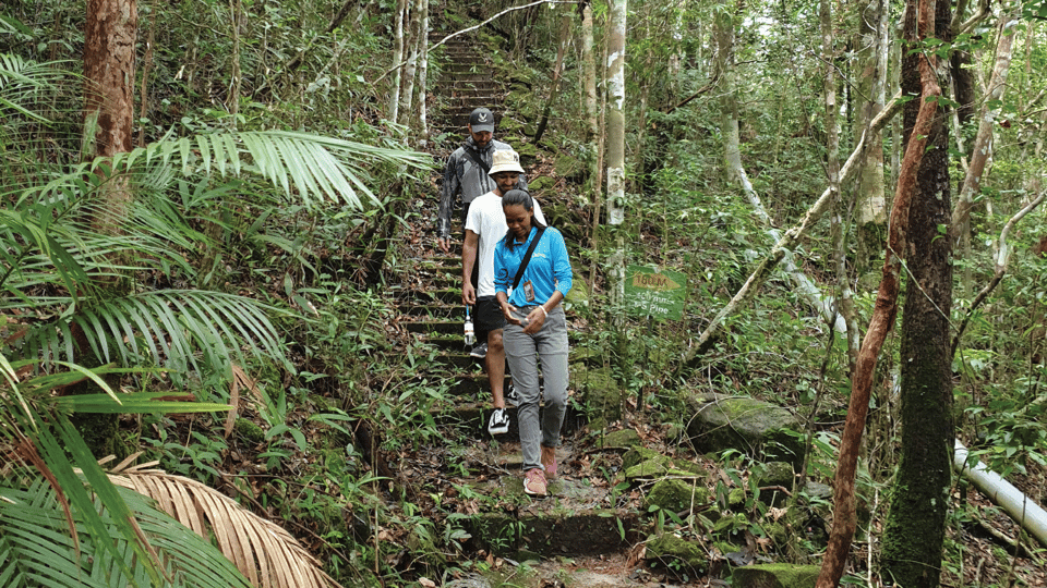 Langkawi SkyTrail Hiking and Cable Car Experience - Activity Overview