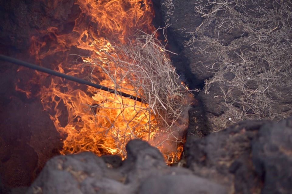 Lanzarote: 5-Hour Timanfaya National Park Southern Tour - Key Points