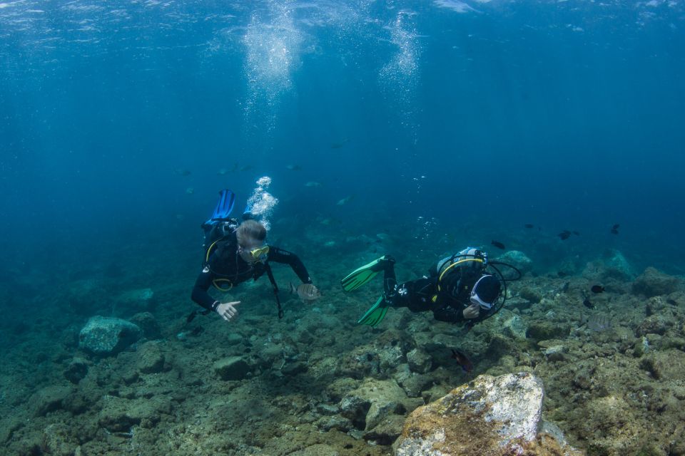 Lanzarote: Beginner Scuba Diving From the Beach - Key Points