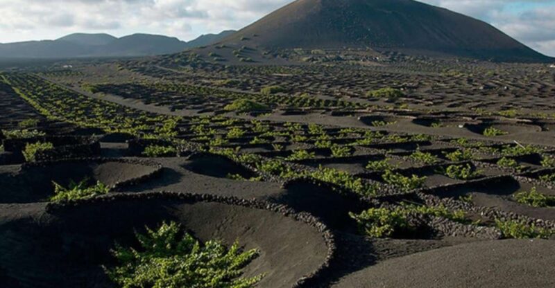 Lanzarote: Full Day Bus Tour With Scenic Views - Key Points