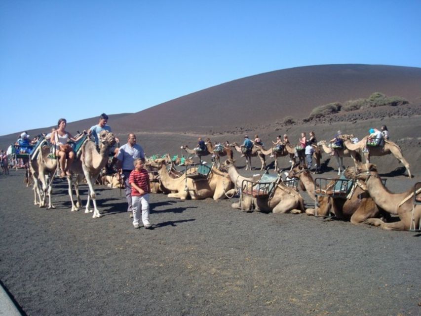 Lanzarote: Timanfaya National Park Tour - Key Points