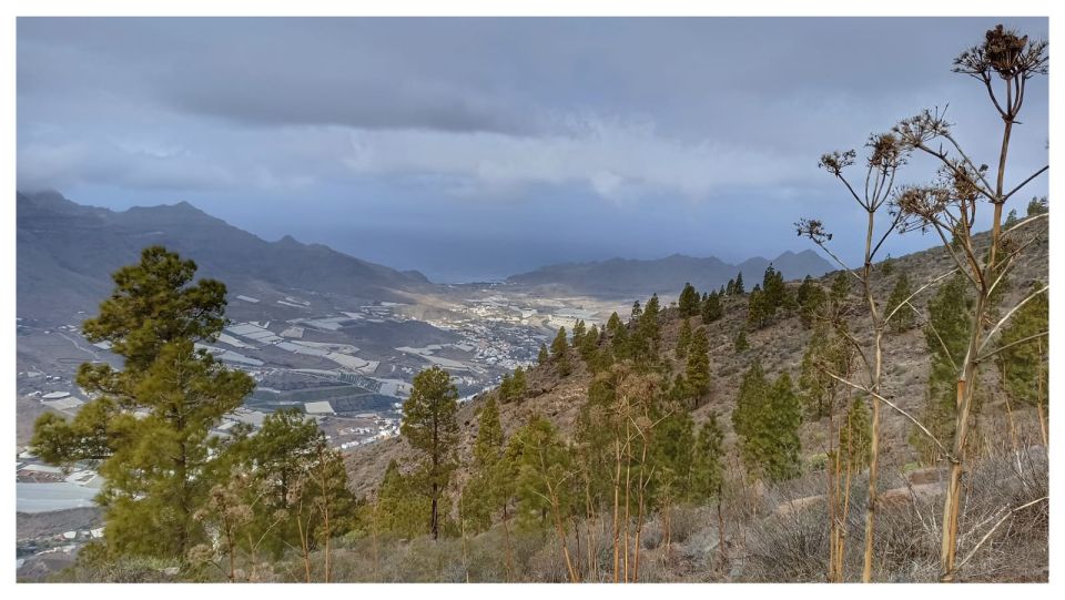 Las Palmas: Inagua Natural Reserve Gran Canaria Walking Tour - Key Points