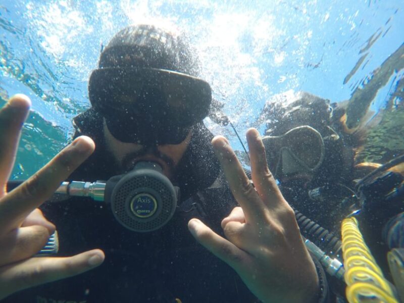 LEstartit: Dive and Snorkeling in Montgrí Natural Park - Key Points