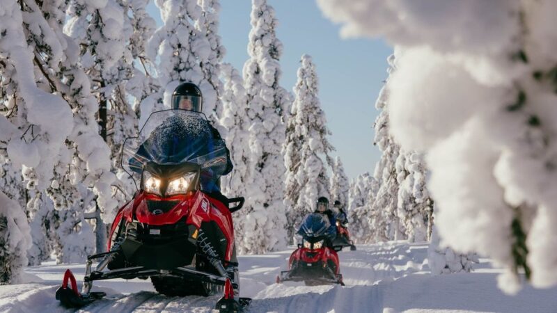 Levi: 2 Hours Snowmobile Safari to the Levi Nature - Key Points