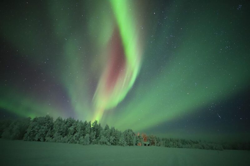 Levi: Aurora Borealis Bus & Snowshoe Tour With Hot Drink - Key Points