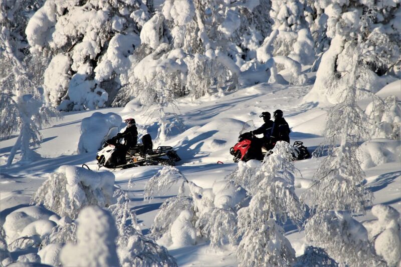 Levi: Easy Snowmobile Safari Into the Nature - Key Points
