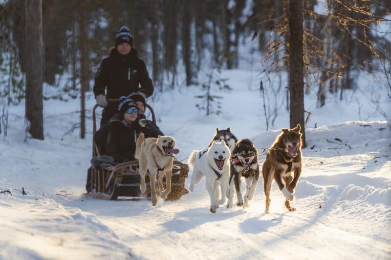 Levi: Follow the Elves – One Day Husky Safari - Key Points