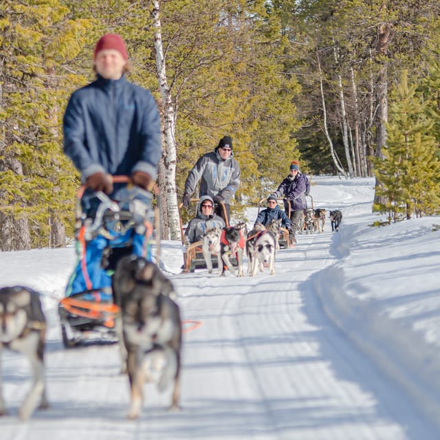 Levi: Forest Troll – Two-Day Husky Safari - Key Points