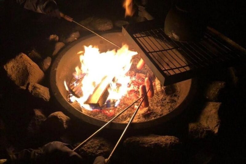 Levi: Northern Lights Hunt Including Campfire Snacks - Key Points