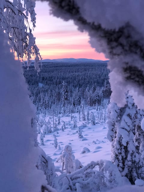 Levi: Snowshoeing and Reindeer Farm Visit - Overview of the Experience