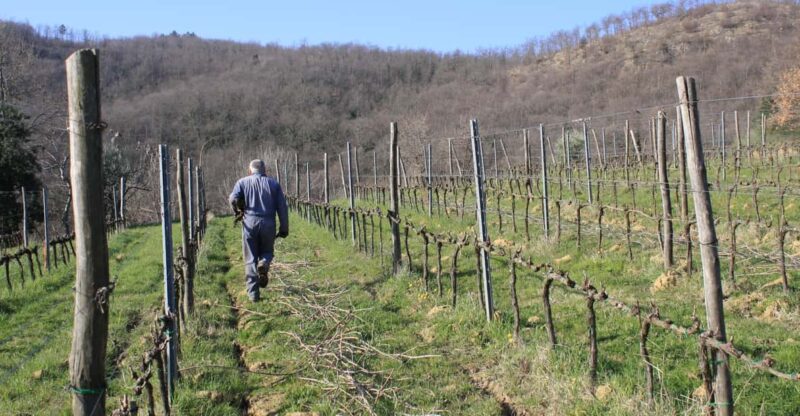 LIMITED EDITION WINE & HEROIC RECIPES: TASTE OF TUSCANY - Key Points