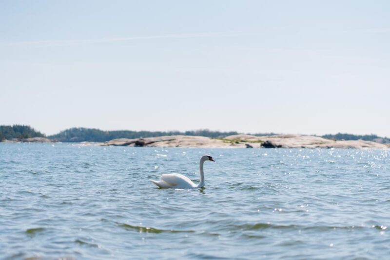 Linlo : Exclusive Day Tour on an Island - Key Points