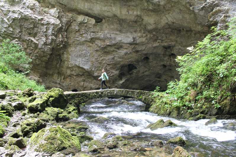 Ljubljana: Škocjan Caves, Rakov Škocjan & Marshes Tour - Key Points