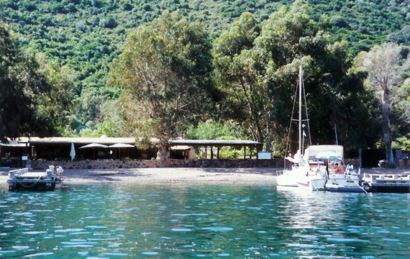 Loading: Scandola/Piana/Stop in Girolata Half-Day on RIB Boat - Key Points