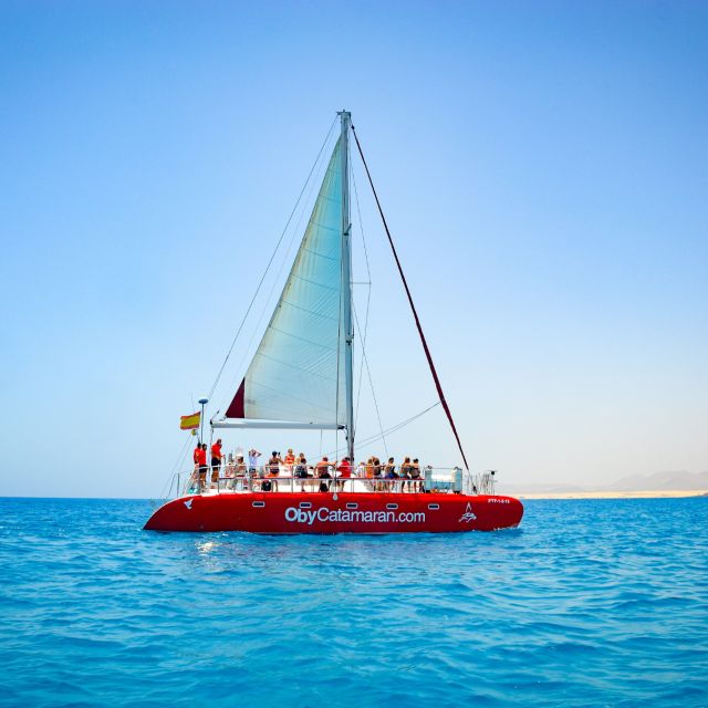 Lobos Island: 4-Hour Catamaran Trip With Lunch - Key Points