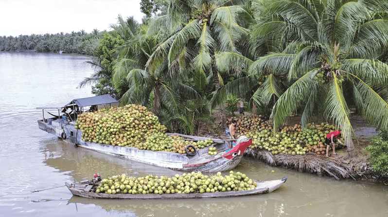 Local Touch-Less Touristy Mekong Delta Ben Tre Day Trip - Key Points