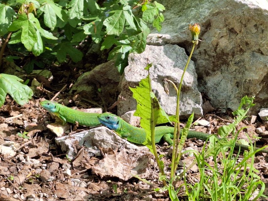 Local Tour at Plitvice - Good To Know