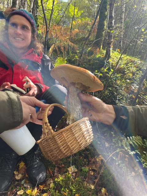 Loch Lomond: Guided Wild Food Forage & Feast - Key Points