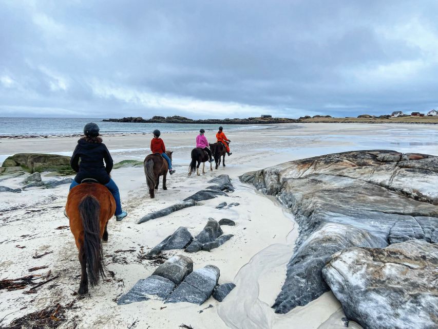 Lofoten: Guided Horse Riding Tour Over Hov and Hovsund - Good To Know