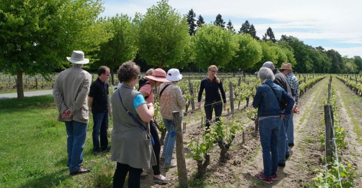 Loire Valley Tour & Wine Tasting Vouvray, Chinon, Bourgueil - Key Points