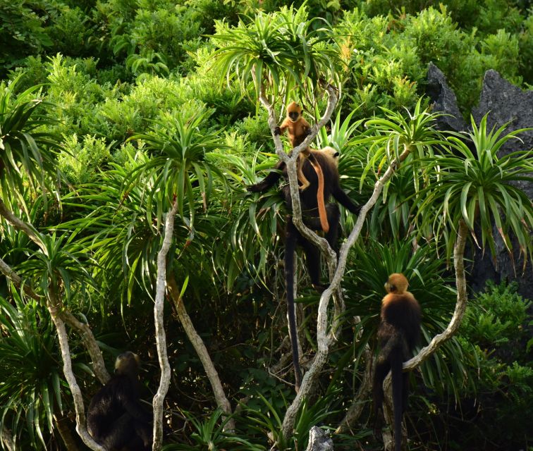 Long Trekking Catba National Park, Lan Ha Bay Full Day Trip - Key Points