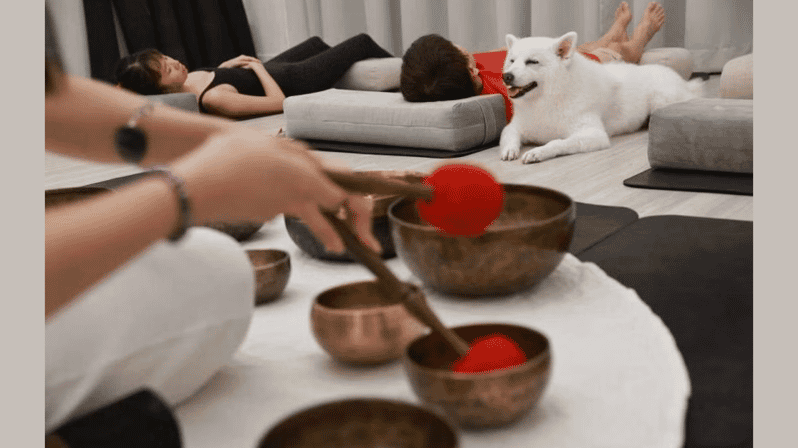 Los Angeles: Private Sound Bath & Reading for You & Your Dog - Key Points