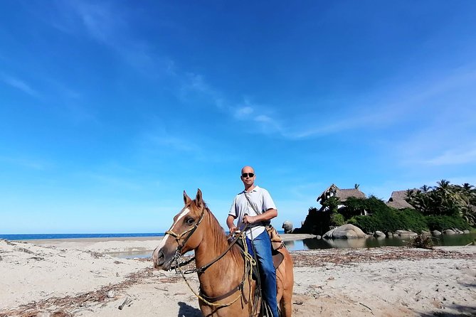 Los Naranjos Beach Horseback Riding Tayrona Park. - Good To Know