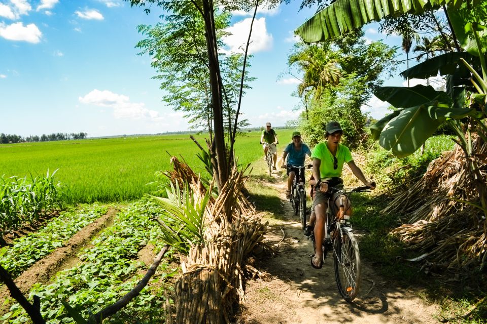 Lost Civilization - My Son Temples Bike Tour in Hoi An - Key Points