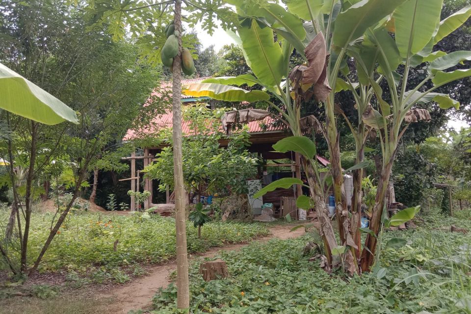 Luang Prabang: Organic Farm Experience & Hike to Kuang Si - Key Points