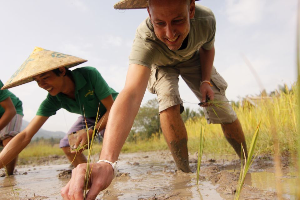 Luang Prabang: Rice Farm and Kuang Si Waterfall Tour - Key Points