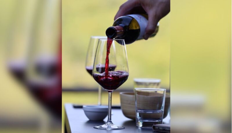 Lucca: Guided Winery Tour With Wine Tasting - Key Points