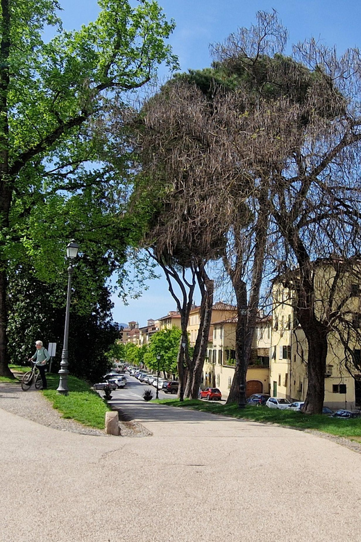 Lucca: Tour of City Center, San Martino and San Frediano - Key Points