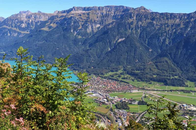 Lucerne: Interlaken & Grindelwald Exclusive Private Day Tour - Good To Know