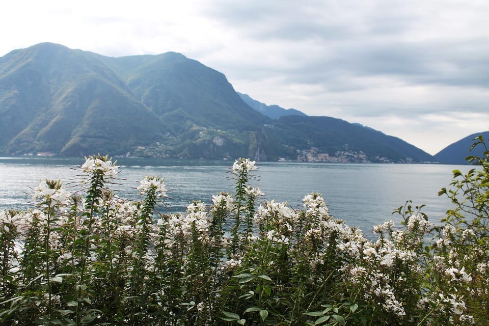 Lugano - Private Walking Tour - Good To Know