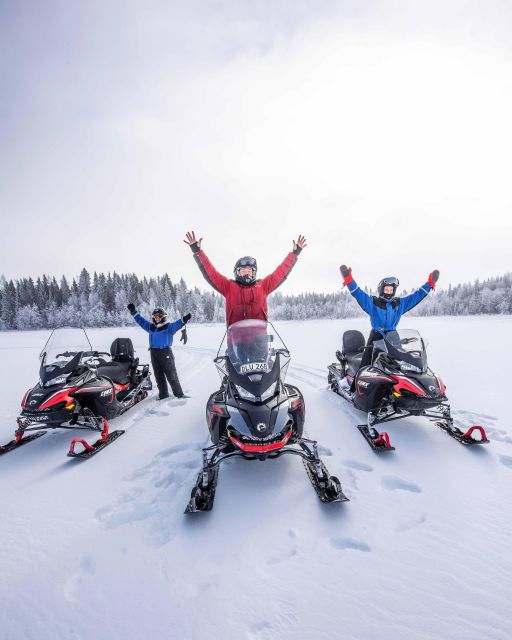 Luleå : Snowmobile - Forest and Ice Nature Tour 2h - Key Points