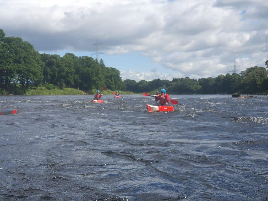 Luncarty to Willowgate Kayak Tour - Key Points