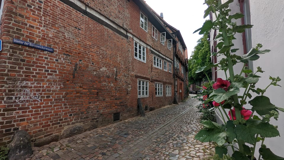 Luneburg, Private Van Tour, Shore Excursion - Key Points