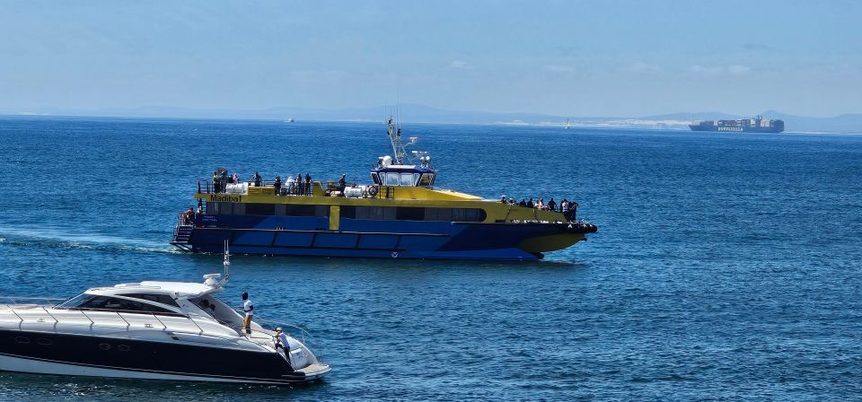 Luxury Boat Cruise From the V&A Waterfront - Good To Know