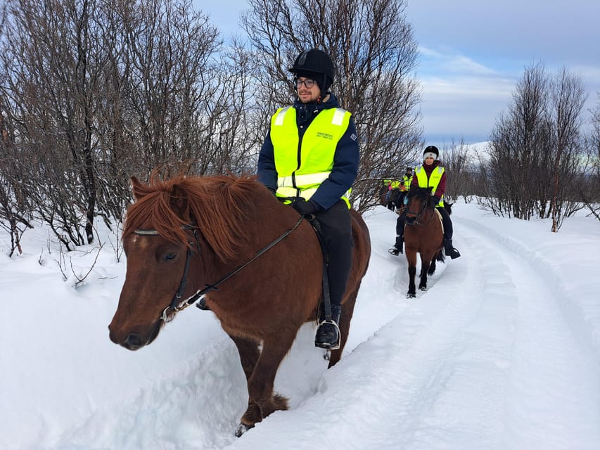 Lyngen Horseback Winter Riding Experience - Good To Know