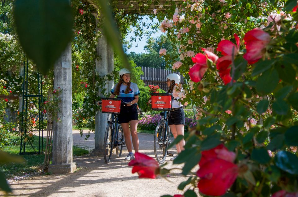 Lyon: the Great Bike Tour From North to South - Key Points