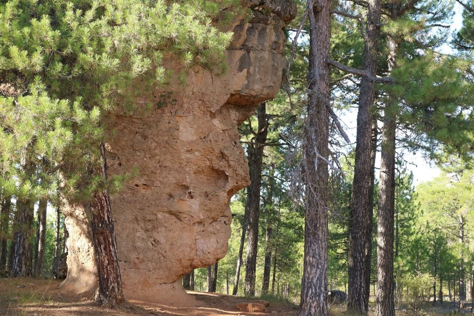 Madrid: Day Trip to Cuenca With Cathedral or Enchanted City - Key Points