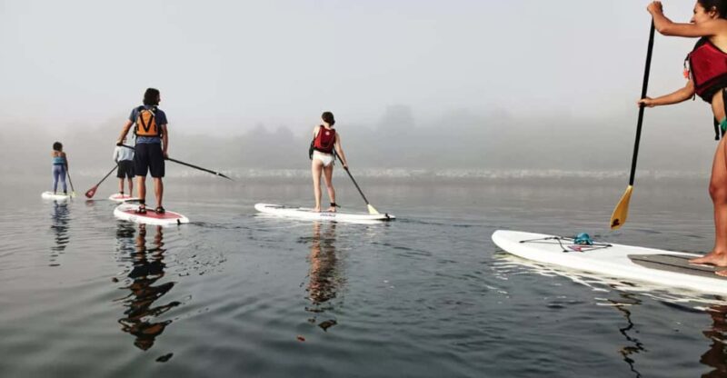 Maine: Half-Day Paddleboard Rental - Key Points
