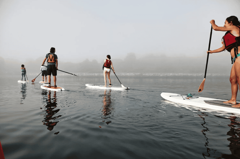Maine: Half-Day Paddleboard Rental - Activity Overview