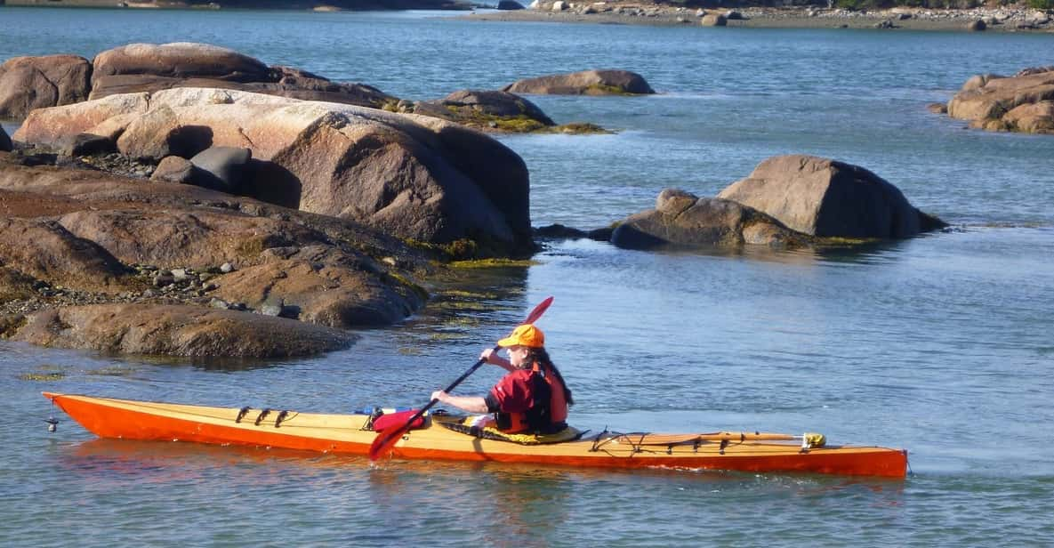 Maine: Penobscot River Guided Kayaking Tour - Tour Overview