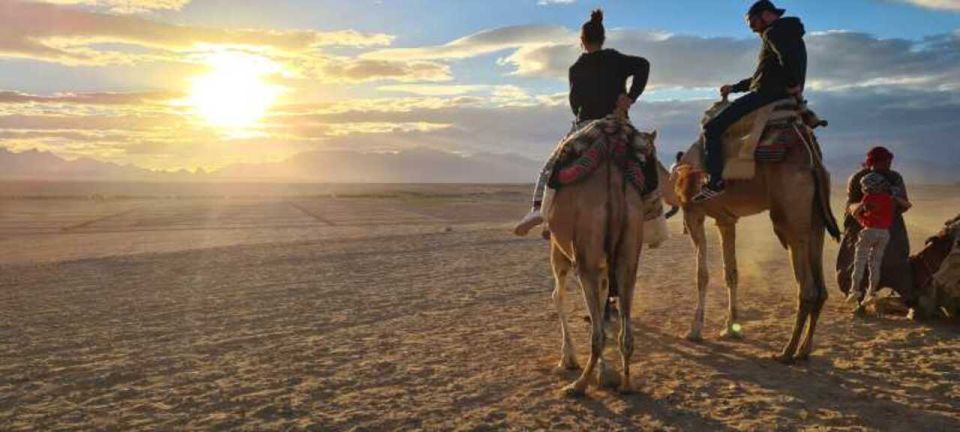 Makadi Bay: Desert Stargazing Adventure by Jeep With Dinner - Good To Know