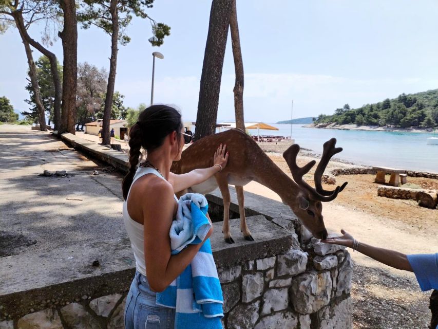 Makarska: Korcula, Deer Island & Shipwreck Speedboat Tour - Good To Know