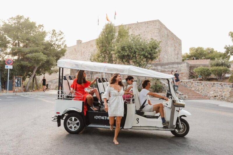Malaga: Private City Tour by Eco Tuk Tuk - Key Points