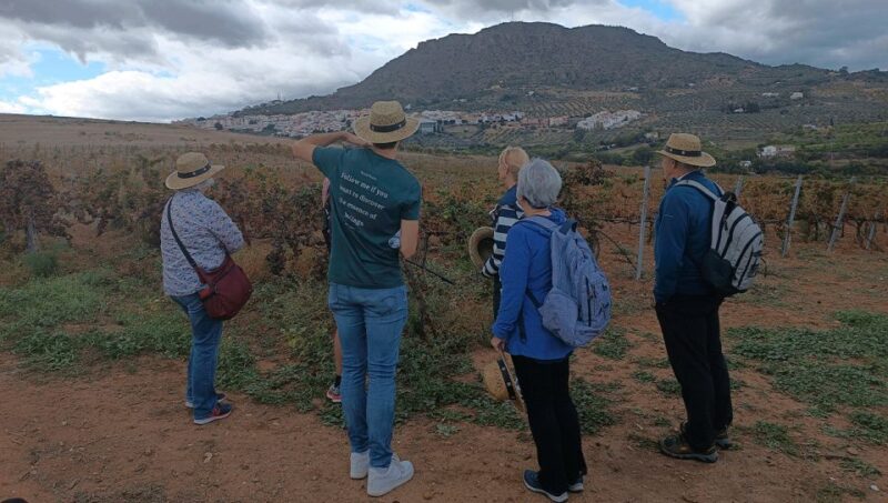 Malaga Small Group Tour With Wine Tasting & White Village - Key Points